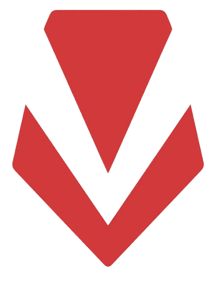 Vanguard Anti-Cheat logo